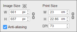 Print Size
