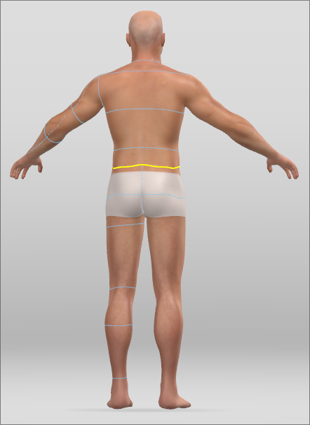 waist.png